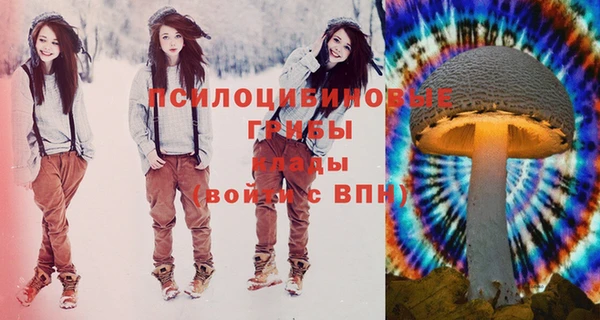 винт Краснослободск