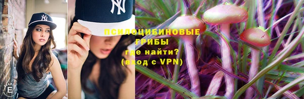 кокс Кукмор