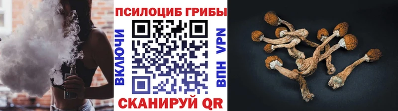 Псилоцибиновые грибы Psilocybine cubensis  shop телеграм  Серпухов 