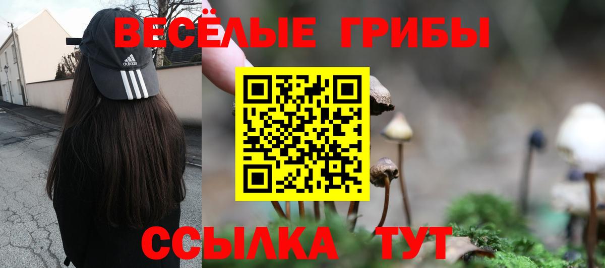 Галлюциногенные грибы Psilocybe  Галлюциногенные грибы Magic Shrooms  Вход с VPN  Серпухов 